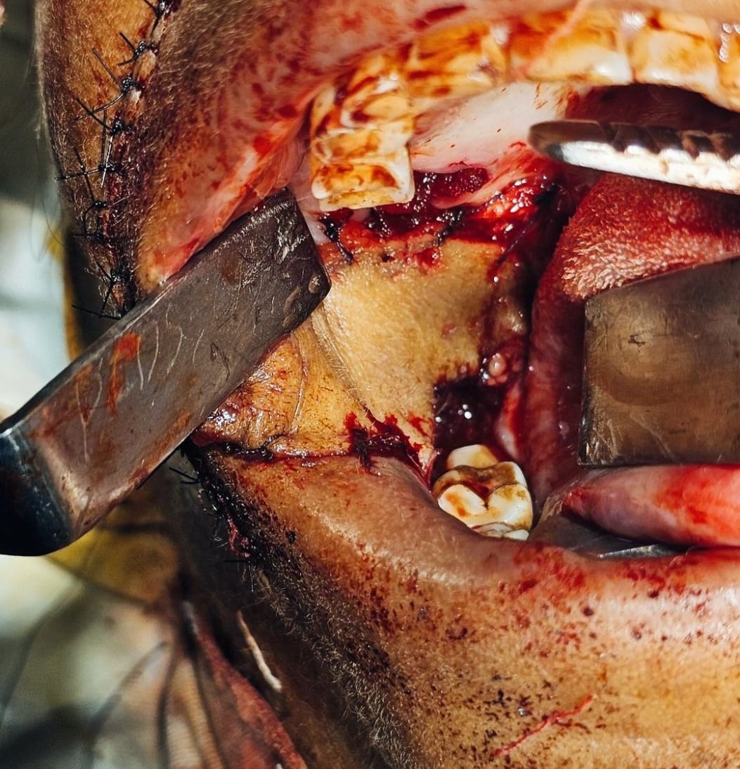 WhatsApp Image 2025-12-22 at 12.32.21 PM