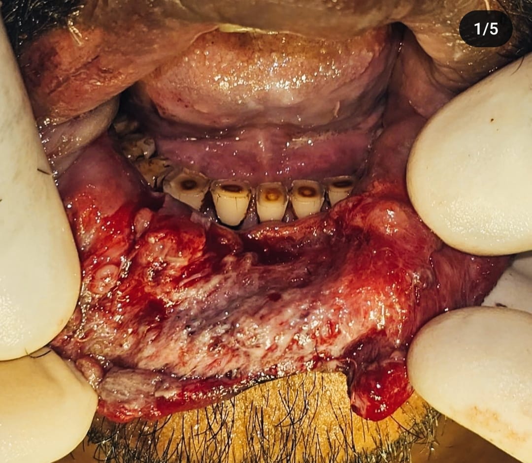 WhatsApp Image 2025-12-22 at 12.32.25 PM