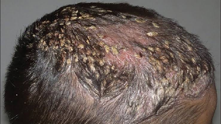 WhatsApp Image 2025-12-22 at 12.37.01 PM (1)